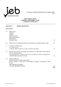 life orientation ieb nsc grade 12 past exam papers 2014 part b marking guidelines.pdf